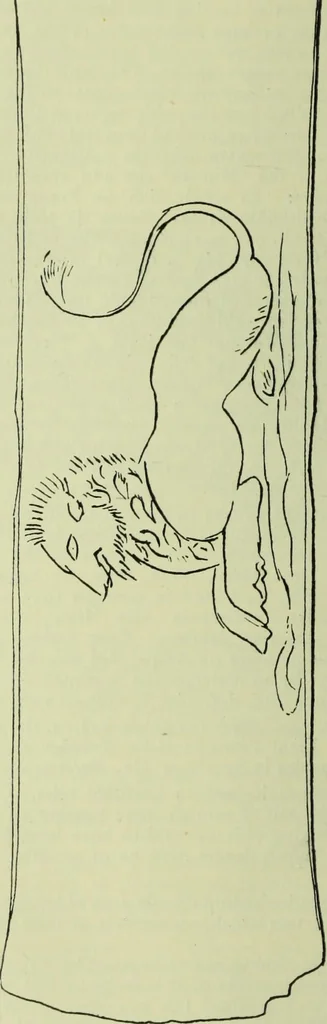 An illustration from Zeus : a study in ancient religion, 1914, leaf 205