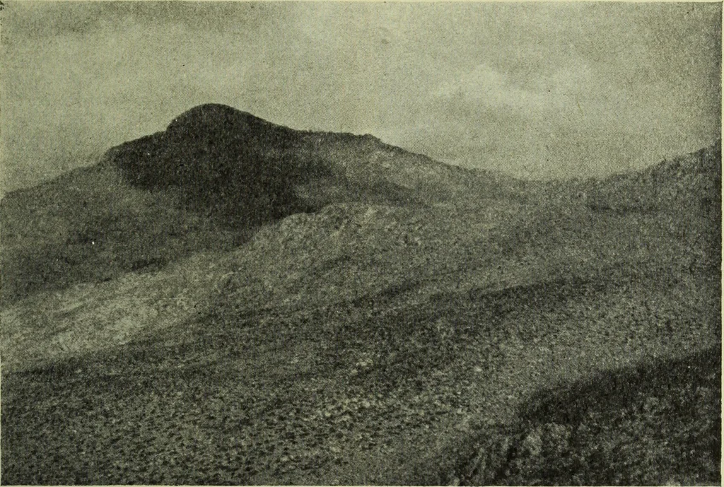 An illustration from Zeus : a study in ancient religion, 1914, leaf 228