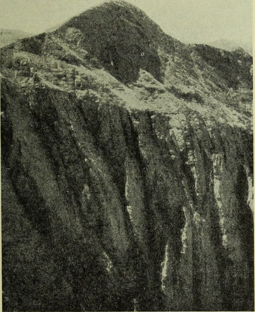 An illustration from Zeus : a study in ancient religion, 1914, leaf 232