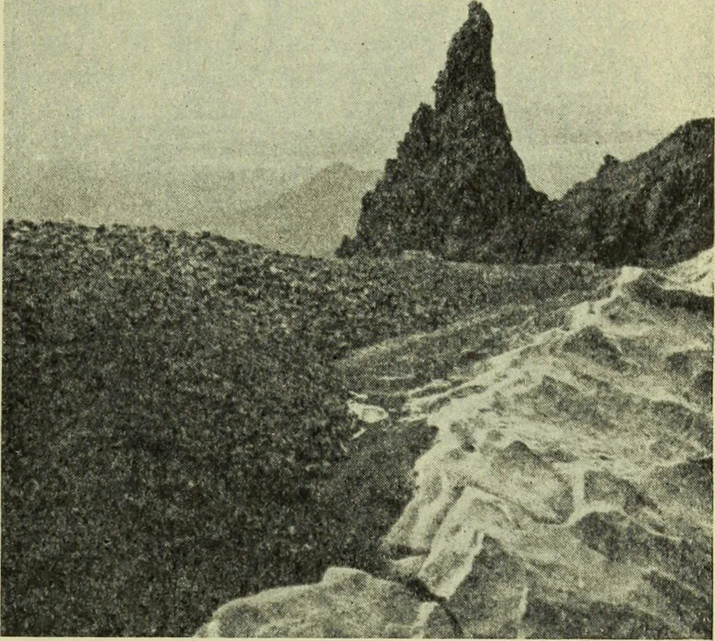An illustration from Zeus : a study in ancient religion, 1914, leaf 238