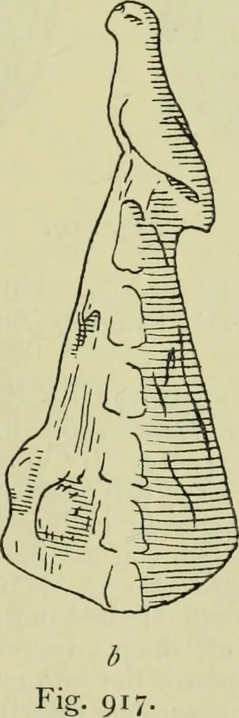 An illustration from Zeus : a study in ancient religion, 1914, leaf 238