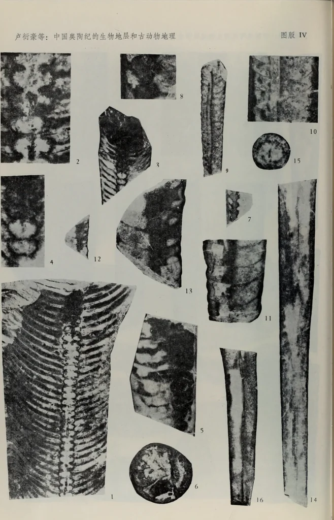 An illustration from The baptizing of infants reviewed and defended from the exceptions of Mr. Tombes [microform] : in his three last chapters of his book intituled Antipedobaptisme, 1655, leaf 103