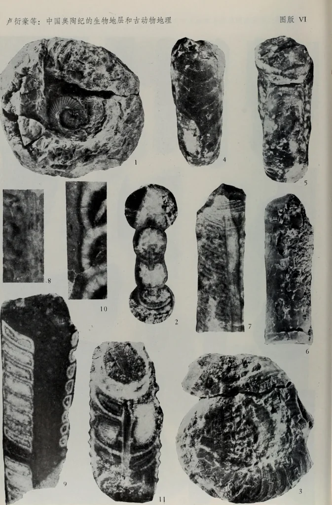 An illustration from The baptizing of infants reviewed and defended from the exceptions of Mr. Tombes [microform] : in his three last chapters of his book intituled Antipedobaptisme, 1655, leaf 105