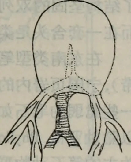 An illustration from The baptizing of infants reviewed and defended from the exceptions of Mr. Tombes [microform] : in his three last chapters of his book intituled Antipedobaptisme, 1655, leaf 30