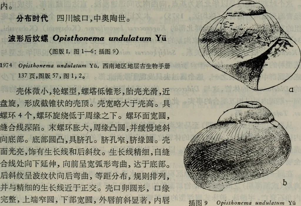 An illustration from The baptizing of infants reviewed and defended from the exceptions of Mr. Tombes [microform] : in his three last chapters of his book intituled Antipedobaptisme, 1655, leaf 50