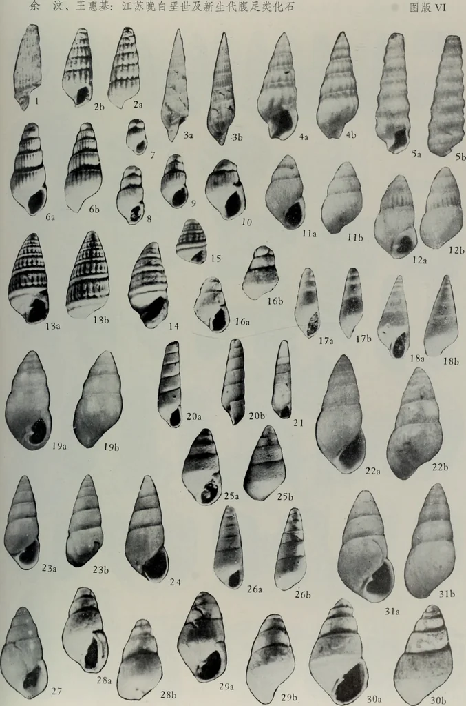 An illustration from Husbandry spiritualized, or, The heavenly use of earthly things [microform] : consisting of many pleasant observations, pertinent applications, and serious reflections, and each chapter concluded with a divine and suitable poem, directing husband-men to the most excellent improvements of their common imployments : whereunto are added, by way of appendix, several choice occasional meditations, upon birds, beasts, trees, flowers, rivers, and several other objects : fitted for the help of such as desire to walk with God in all solitudes and recesses from the world, 1678, leaf 100