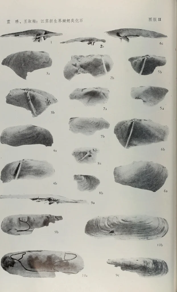 An illustration from Husbandry spiritualized, or, The heavenly use of earthly things [microform] : consisting of many pleasant observations, pertinent applications, and serious reflections, and each chapter concluded with a divine and suitable poem, directing husband-men to the most excellent improvements of their common imployments : whereunto are added, by way of appendix, several choice occasional meditations, upon birds, beasts, trees, flowers, rivers, and several other objects : fitted for the help of such as desire to walk with God in all solitudes and recesses from the world, 1678, leaf 153