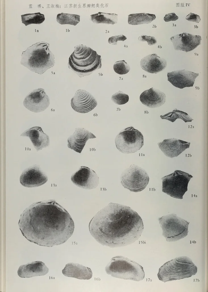 An illustration from Husbandry spiritualized, or, The heavenly use of earthly things [microform] : consisting of many pleasant observations, pertinent applications, and serious reflections, and each chapter concluded with a divine and suitable poem, directing husband-men to the most excellent improvements of their common imployments : whereunto are added, by way of appendix, several choice occasional meditations, upon birds, beasts, trees, flowers, rivers, and several other objects : fitted for the help of such as desire to walk with God in all solitudes and recesses from the world, 1678, leaf 155