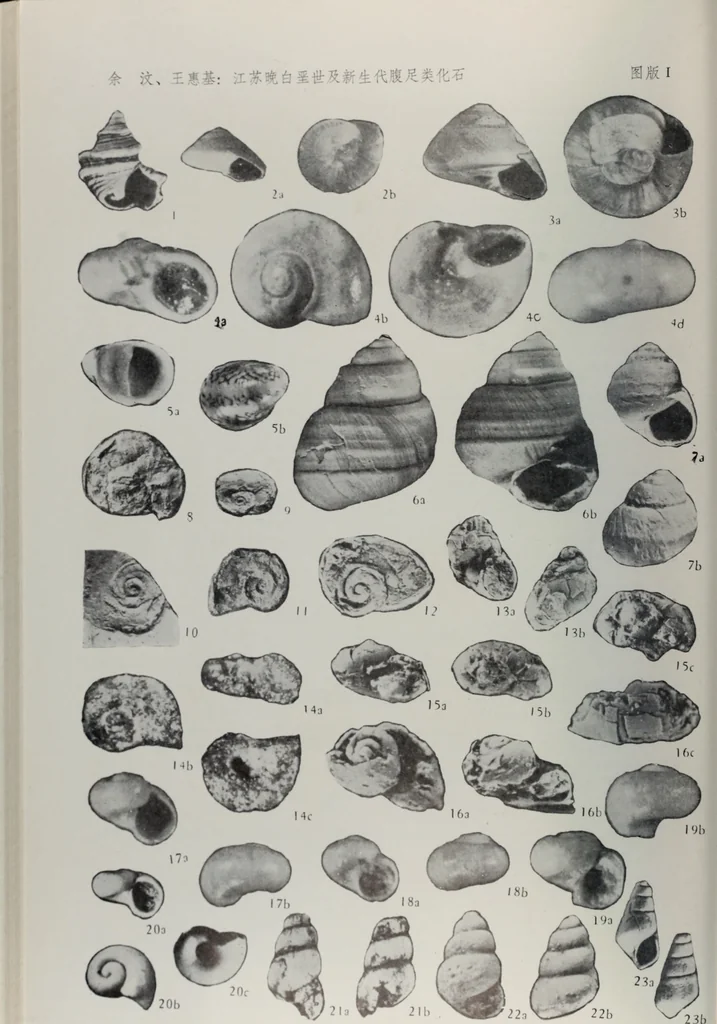 An illustration from Husbandry spiritualized, or, The heavenly use of earthly things [microform] : consisting of many pleasant observations, pertinent applications, and serious reflections, and each chapter concluded with a divine and suitable poem, directing husband-men to the most excellent improvements of their common imployments : whereunto are added, by way of appendix, several choice occasional meditations, upon birds, beasts, trees, flowers, rivers, and several other objects : fitted for the help of such as desire to walk with God in all solitudes and recesses from the world, 1678, leaf 95