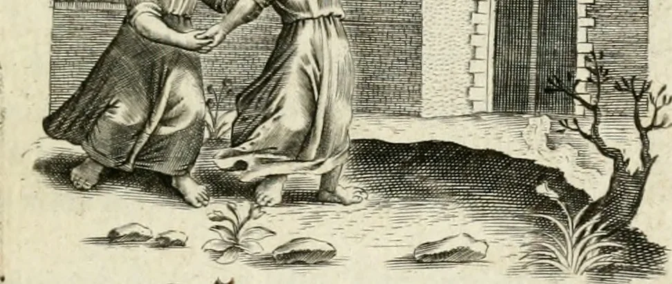 An illustration from Zinne-beelden der liefde, met puntdigten en aanteekeningen, 1732, leaf 326
