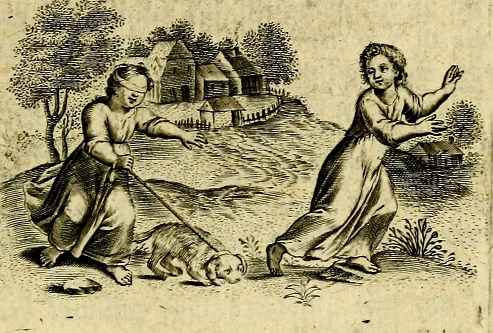 An illustration from Zinne-beelden der liefde, met puntdigten, 1732, leaf 206