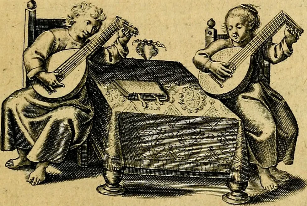 An illustration from Zinne-beelden der liefde, met puntdigten, 1732, leaf 314