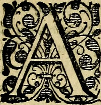An illustration from Zinne-beelden der liefde, met puntdigten en aanteekeningen, 1703, leaf 12