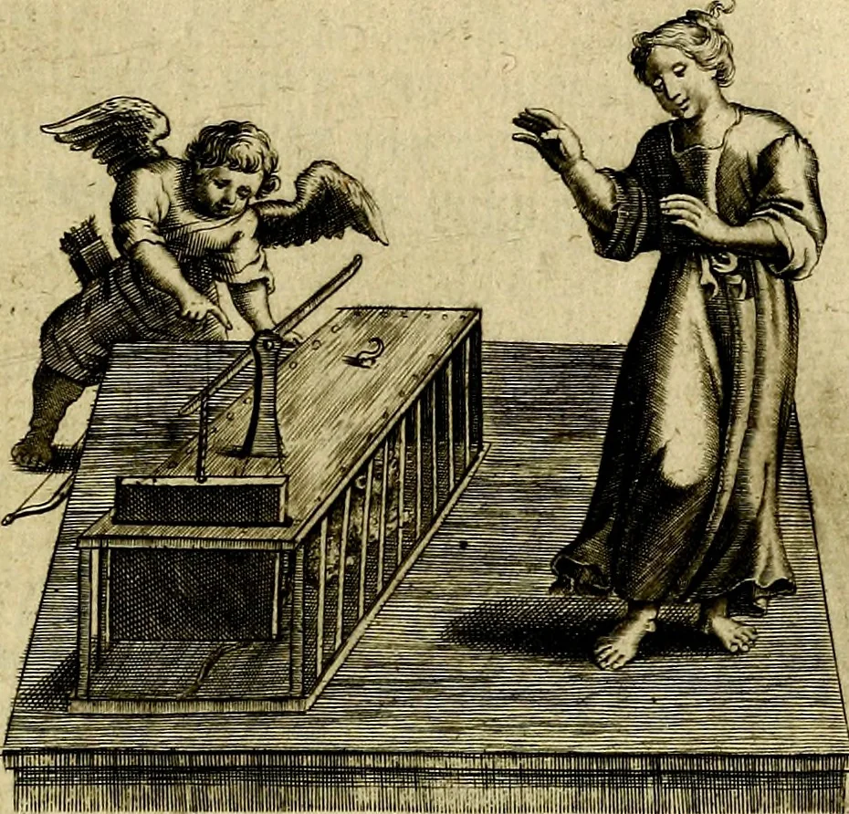 An illustration from Zinne-beelden der liefde, met puntdigten en aanteekeningen, 1703, leaf 240