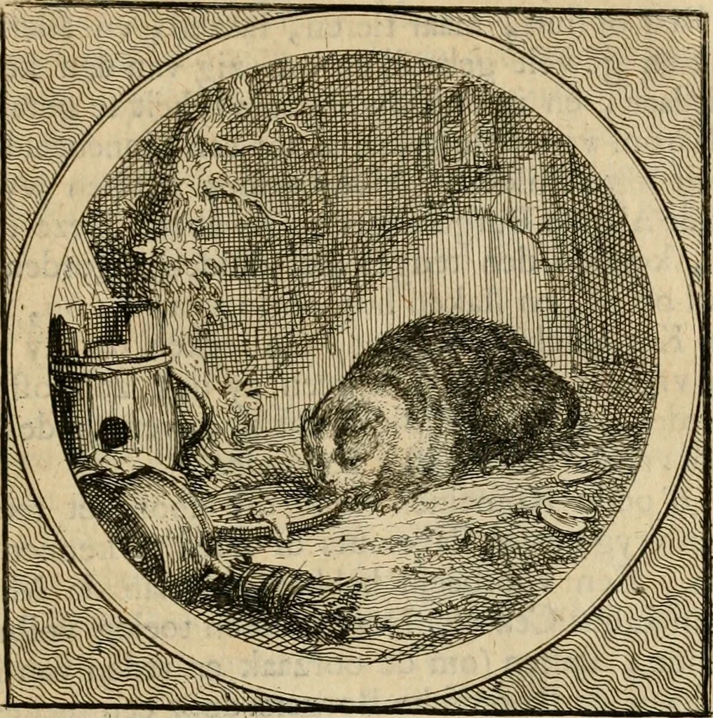 An illustration from Stichtelyke zinnebeelden gepast op deugden en ondeugden in LVII tafereeellen vertoont, 1723, leaf 166