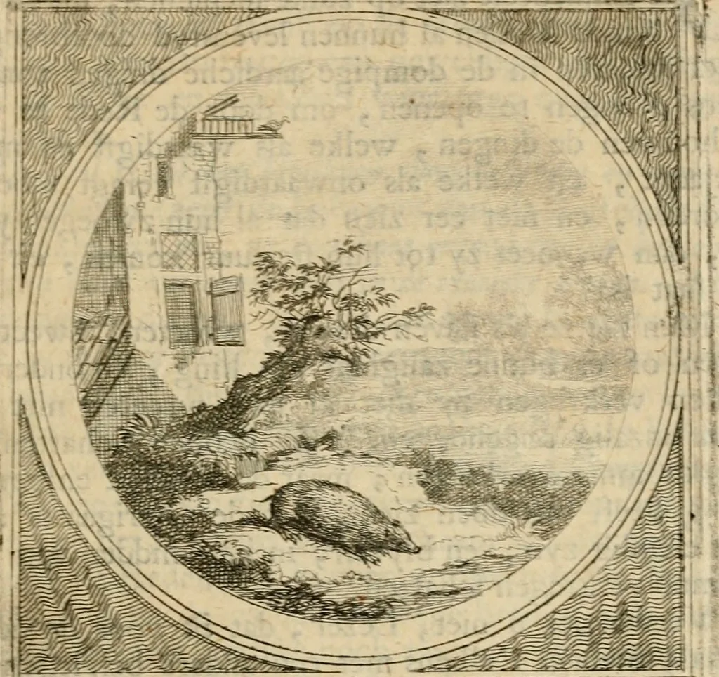An illustration from Stichtelyke zinnebeelden gepast op deugden en ondeugden in LVII tafereeellen vertoont, 1723, leaf 206