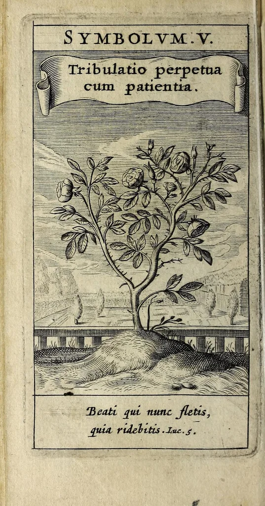 An illustration from Zodiacus Christianus locupletatus, seu, Signa XII. divinae praedestinationis : totidem symbolis explicata, 1634, leaf 48