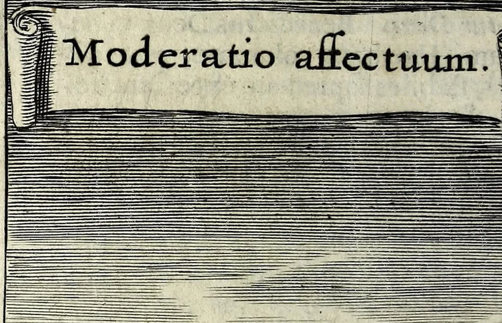 An illustration from Zodiacus Christianus locupletatus, seu, Signa XII. divinae praedestinationis totidem symbolis explicata, 1632, leaf 136
