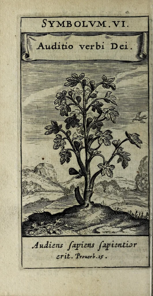 An illustration from Zodiacus Christianus locupletatus, seu, Signa XII. divinae praedestinationis totidem symbolis explicata, 1632, leaf 62