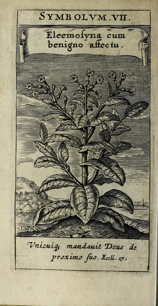 An illustration from Zodiacus Christianus locupletatus, seu, Signa XII. divinae praedestinationis totidem symbolis explicata, 1632, leaf 74