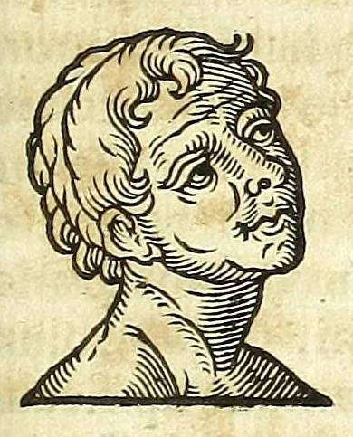 An illustration from Zootomia democritaea: id est, Anatome generalis totius animantium opificii :, 1645, leaf 115