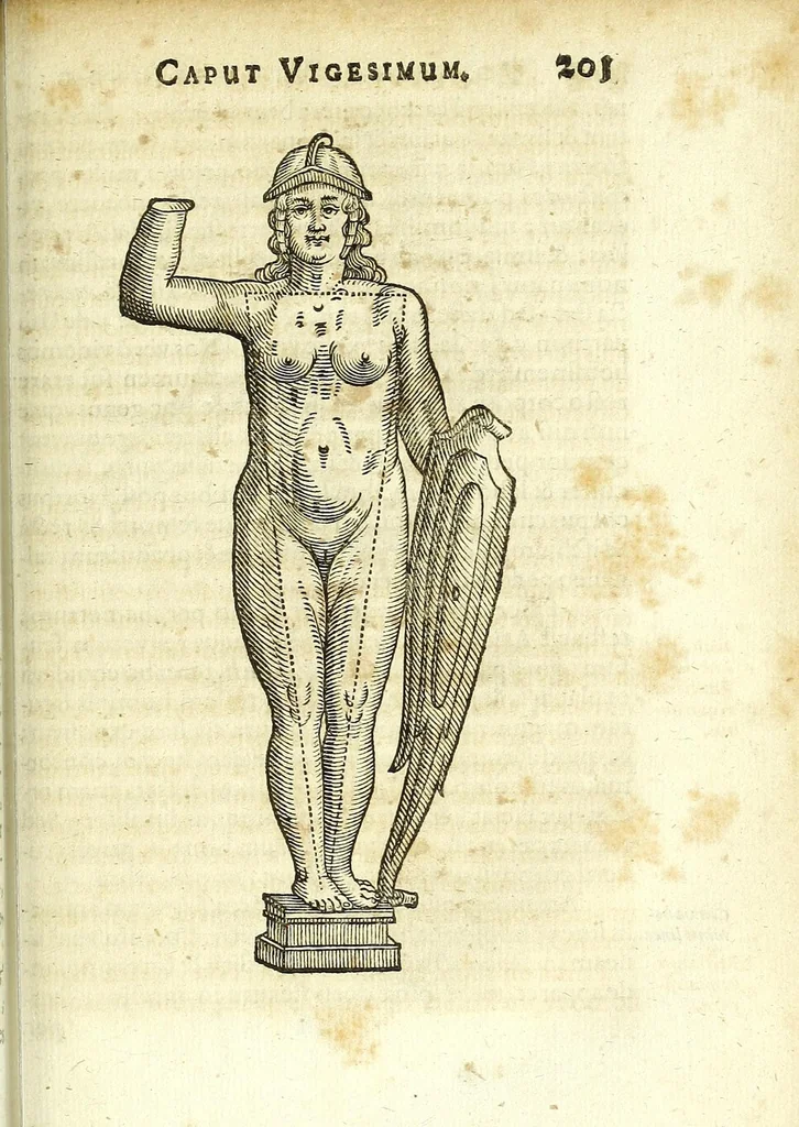 An illustration from Zootomia democritaea: id est, Anatome generalis totius animantium opificii :, 1645, leaf 219
