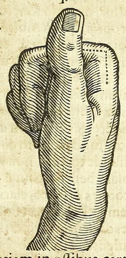 An illustration from Zootomia democritaea: id est, Anatome generalis totius animantium opificii :, 1645, leaf 225
