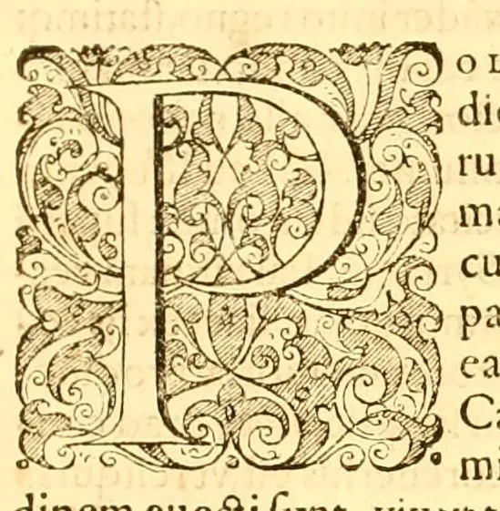 An illustration from Zosimi com. historiarum libri VI, procopius de bell.justiniani : libri totidem, Agathiae historiarum libri V ..., 1605, leaf 39