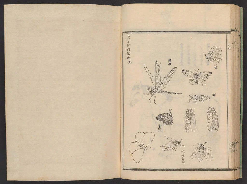 An illustration from Zōge chōkokuhō, 1900, leaf 48