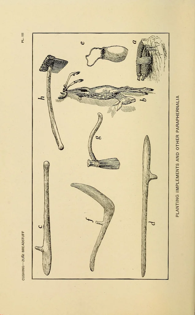 An illustration from Zuñi breadstuff, 1920, leaf 178