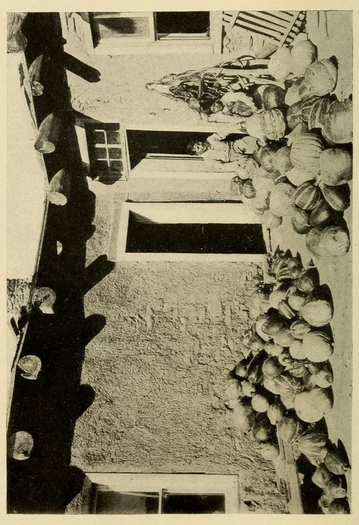 An illustration from Zuñi breadstuff, 1920, leaf 238