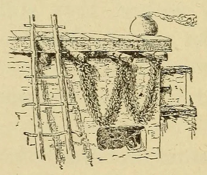 An illustration from Zuñi breadstuff, 1920, leaf 568