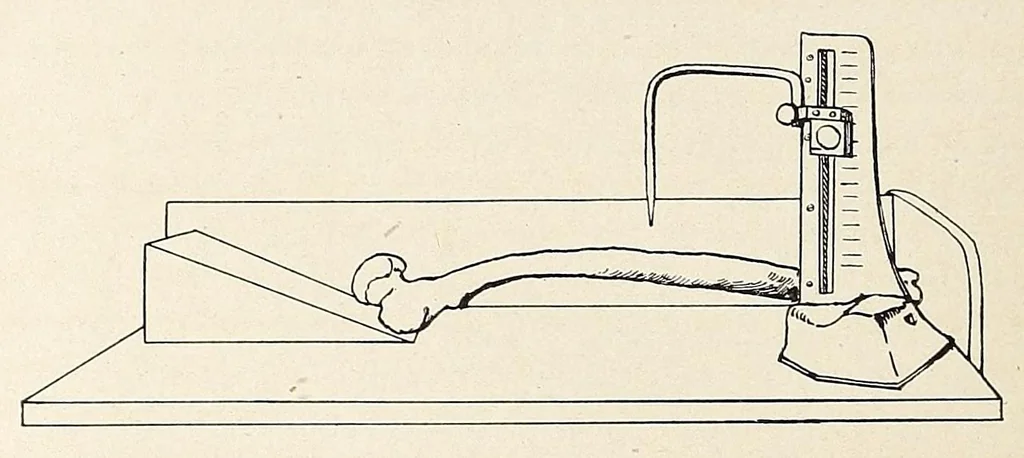 An illustration from Zur anthropologie des abflusslosen rumpfschollenlandes im nordöstlichen Deutsch-Ostrafrika, auf grund der sammlung der Ostrafrika- expedition (dr. E. Obst) der Geographischen gesellschaft in Hamburg, 1915, leaf 20