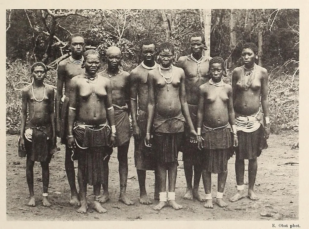 An illustration from Zur anthropologie des abflusslosen rumpfschollenlandes im nordöstlichen Deutsch-Ostrafrika, auf grund der sammlung der Ostrafrika- expedition (dr. E. Obst) der Geographischen gesellschaft in Hamburg, 1915, leaf 247