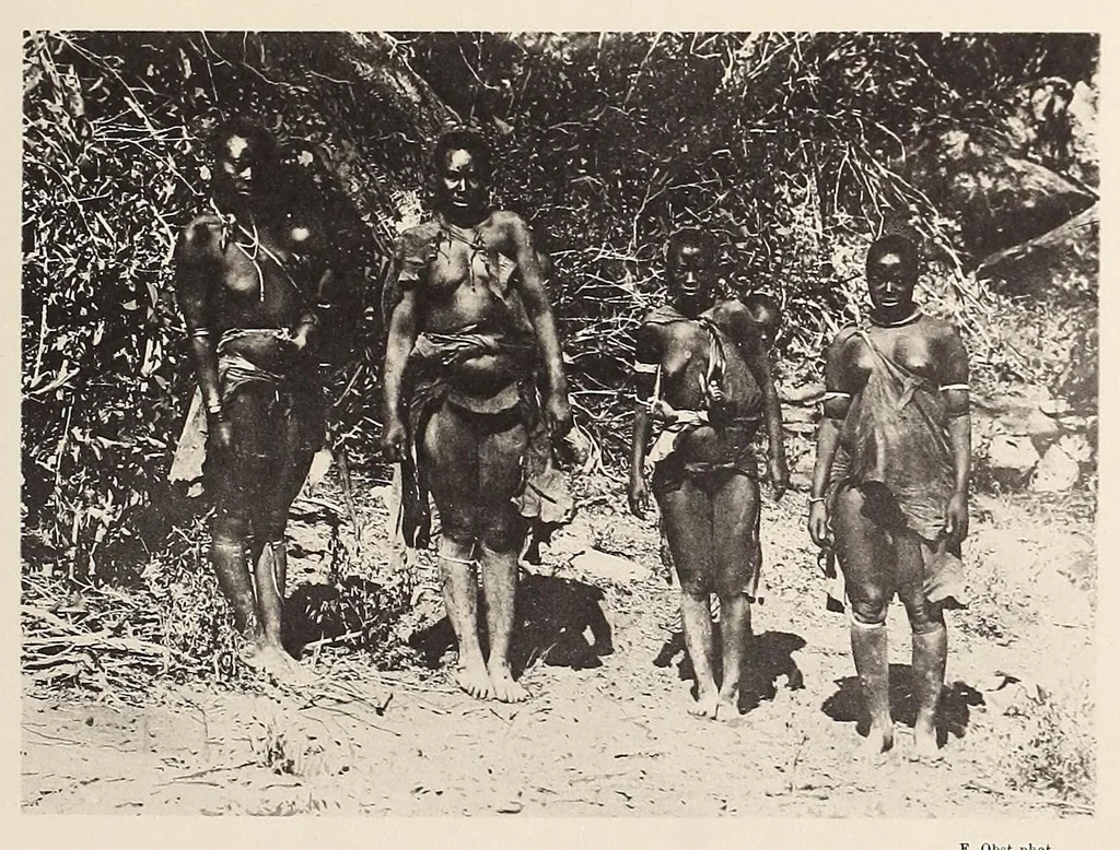 An illustration from Zur anthropologie des abflusslosen rumpfschollenlandes im nordöstlichen Deutsch-Ostrafrika, auf grund der sammlung der Ostrafrika- expedition (dr. E. Obst) der Geographischen gesellschaft in Hamburg, 1915, leaf 255
