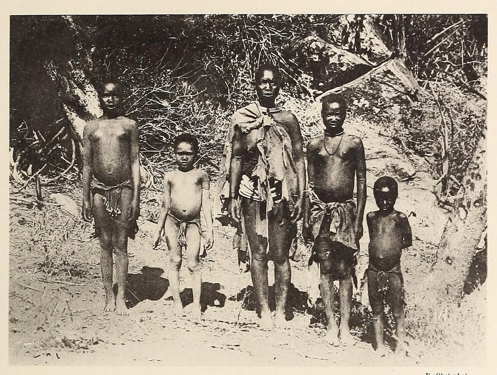 An illustration from Zur anthropologie des abflusslosen rumpfschollenlandes im nordöstlichen Deutsch-Ostrafrika, auf grund der sammlung der Ostrafrika- expedition (dr. E. Obst) der Geographischen gesellschaft in Hamburg, 1915, leaf 255