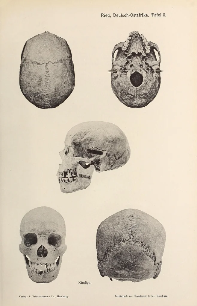 An illustration from Zur anthropologie des abflusslosen rumpfschollenlandes im nordöstlichen Deutsch-Ostrafrika, auf grund der sammlung der Ostrafrika- expedition (dr. E. Obst) der Geographischen gesellschaft in Hamburg, 1915, leaf 93