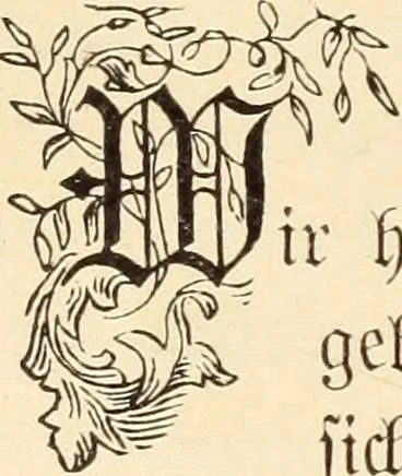 An illustration from Zur Diätetik der Seele, 1893, leaf 73
