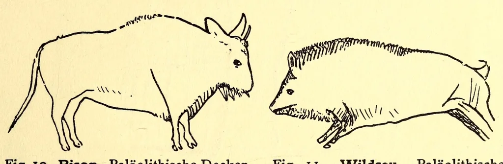 An illustration from Zur Psychologie der primitiven Kunst : ein Vortrag, 1908, leaf 13