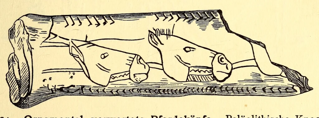 An illustration from Zur Psychologie der primitiven Kunst : ein Vortrag, 1908, leaf 37