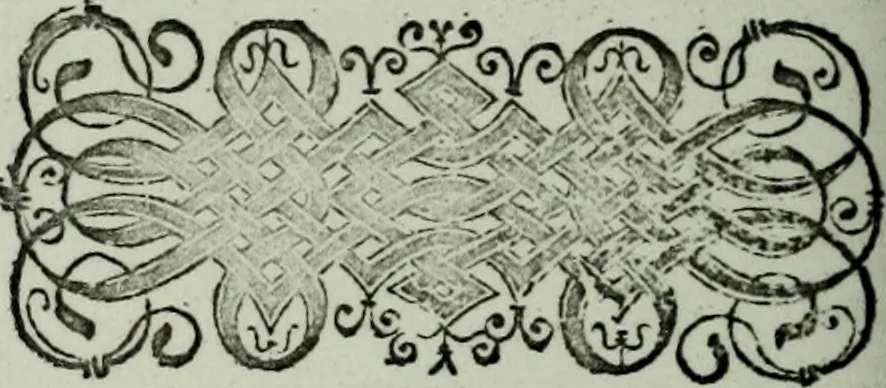 An illustration from Zwey Bücher : Einer neüen kunstlichen Tabulatur auff Orgel und Instrument. Deren das erste ausserlesne Moteten und Stuck zu sechs fünff und vier Stimmen auss den kunstreichesten und weltberumbtesten Musicis und Componisten diser unser Zeit abgesetzt. Das ander allerley schöne teutsche, italienische, frantzösische, geistliche und weltliche Lieder mit funff und vier Stimmen Passamezo, Galliardo und Täntze in sich begreifft.., 1577, leaf 107