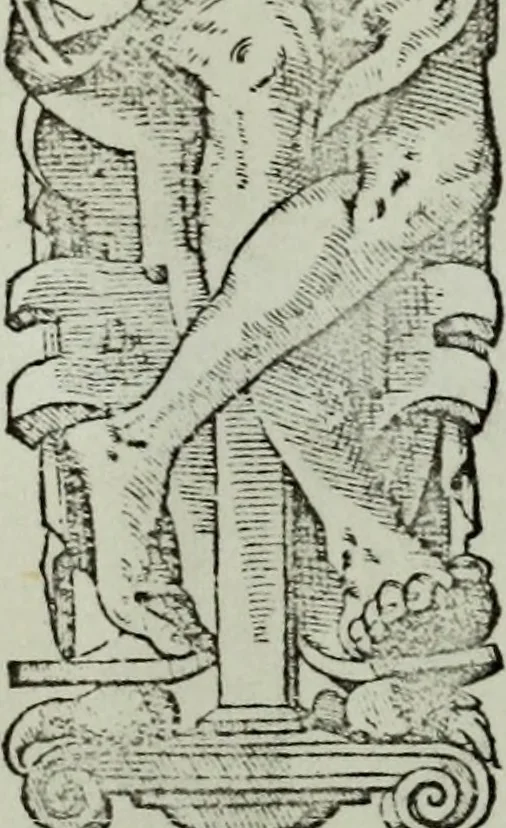 An illustration from Zwey Bücher : Einer neüen kunstlichen Tabulatur auff Orgel und Instrument. Deren das erste ausserlesne Moteten und Stuck zu sechs fünff und vier Stimmen auss den kunstreichesten und weltberumbtesten Musicis und Componisten diser unser Zeit abgesetzt. Das ander allerley schöne teutsche, italienische, frantzösische, geistliche und weltliche Lieder mit funff und vier Stimmen Passamezo, Galliardo und Täntze in sich begreifft.., 1577, leaf 7