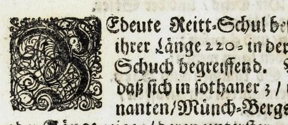 An illustration from Zwey-einiger Hymenaeus, oder, Oesterreich-Lüneburgischer frid- und freuden-voller Vermählungs-Gott : denen aller-durchleuchtigist-grossmächtigisten, nunmehro aller-erwüntscht- und Aller-Glück-Vergnügtist-Vermählten röm. und ungar. königl königl. Maj. Maj. [et]c. [et]c. Josepho I. vom aller-durchleuchtigist-sig- und glorreichisten Ertz-Hauss-Oesterreich, [et]c. [et]c. herstammend, und Wilhelminae Amaliae, aller-preyss-würdigst-Gebohrnen Hertzogin von Braunschweig, und Lüneburg, [et]c. [et]c. durch vier Triumph- Lieb- und Lob-andeutende Ruhm- oder Ehren-Pforten zur aller-schuldigst-Jubel-vollen Ehren-Bezeugung hiebevor eröffnet, 1699, leaf 48