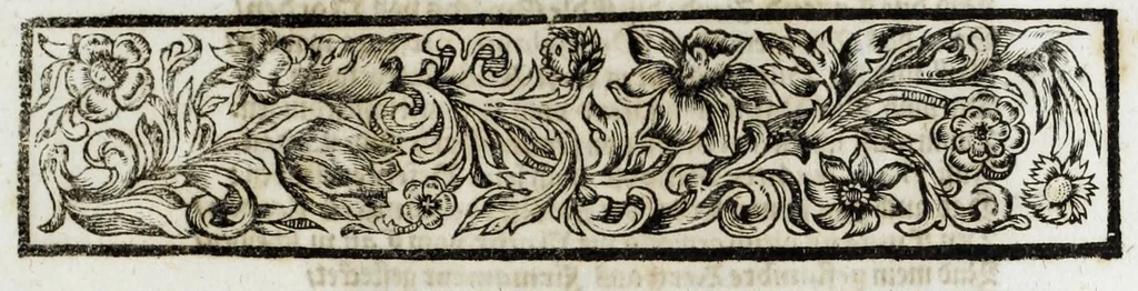 An illustration from Zwey-einiger Hymenaeus, oder, Oesterreich-Lüneburgischer frid- und freuden-voller Vermählungs-Gott : denen aller-durchleuchtigist-grossmächtigisten, nunmehro aller-erwüntscht- und Aller-Glück-Vergnügtist-Vermählten röm. und ungar. königl königl. Maj. Maj. [et]c. [et]c. Josepho I. vom aller-durchleuchtigist-sig- und glorreichisten Ertz-Hauss-Oesterreich, [et]c. [et]c. herstammend, und Wilhelminae Amaliae, aller-preyss-würdigst-Gebohrnen Hertzogin von Braunschweig, und Lüneburg, [et]c. [et]c. durch vier Triumph- Lieb- und Lob-andeutende Ruhm- oder Ehren-Pforten zur aller-schuldigst-Jubel-vollen Ehren-Bezeugung hiebevor eröffnet, 1699, leaf 91
