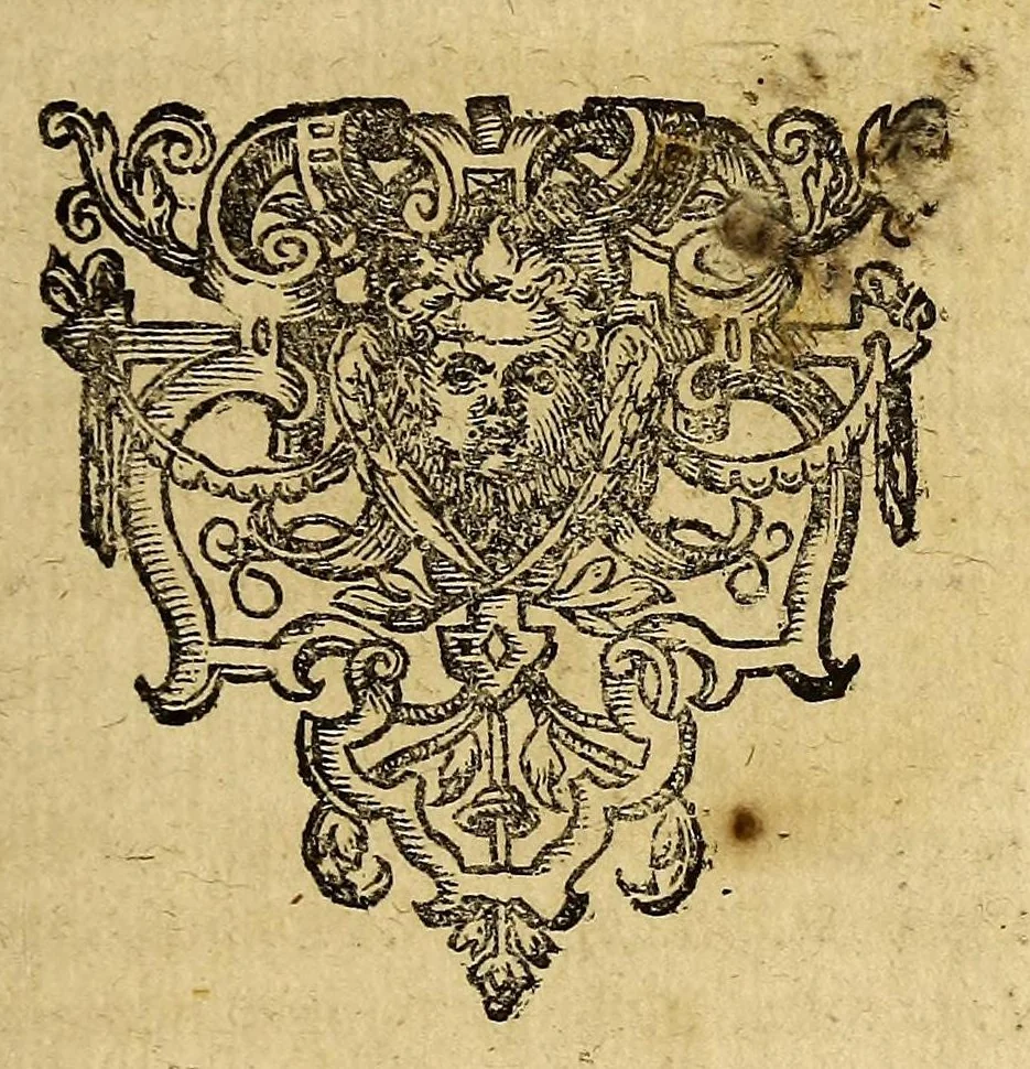 An illustration from Zwölffte Schiffahrt oder Kurtze Beschreibung der newen Schiffahrt gegen Nord Osten, vber die Amerische Inseln in Chinam vnd Japponiam, von einem Engellender Heinrich Hudson newlich erfunden, beneben einen Discurss an Jhr Kön. Maj. in Spanien, wegen dess fünfften Theils der Welt, Terra Australis incognita genandt, auch kurtze Beschreibung der Länder der Samojeden vnd Tingoesen in der Tartarey gelegen., 1614, leaf 29