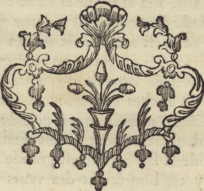 An illustration from Description geographique des isles Antilles possédées par les anglois, 1758, leaf 150