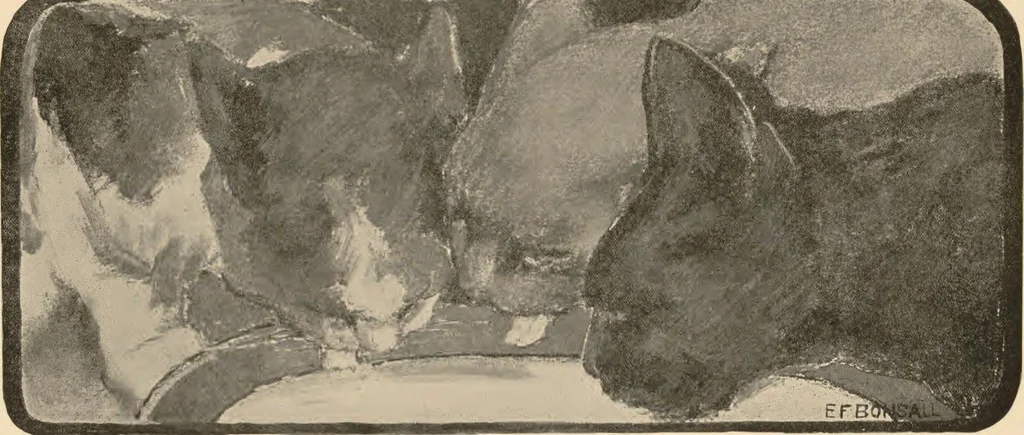 An illustration from The book of the cat : with facsimiles of drawings in colour, 1903, leaf 11