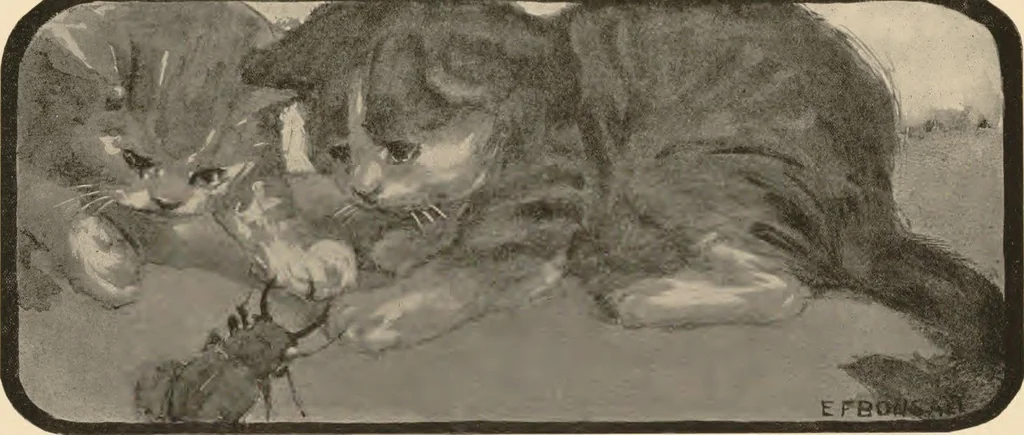 An illustration from The book of the cat : with facsimiles of drawings in colour, 1903, leaf 51