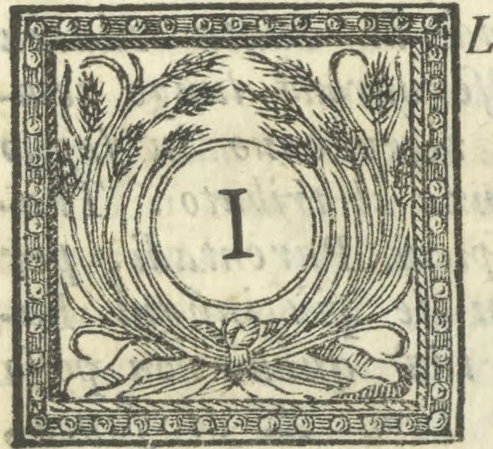 An illustration from Vita e lettere di Amerigo Vespucci, gentiluomo fiorentino, 1745, leaf 10