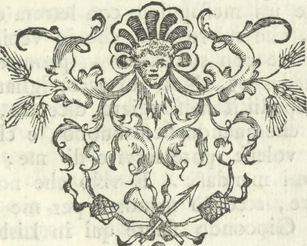 An illustration from Vita e lettere di Amerigo Vespucci, gentiluomo fiorentino, 1745, leaf 132